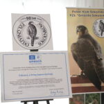 Pińczów. Wręczenie certyfikatów potwierdzających wpis polskiego sokolnictwa na światową Listę reprezentatywną niematerialnego dziedzictwa kulturowego ludzkości UNESCO / Fot. Marta Gajda-Kruk – Radio Kielce