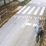 Fot. KPP Skarżysko-Kamienna