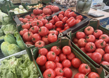 W Dwikozach odbędzie się Wojewódzkie Święto Pomidora