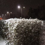 24.11.2022. Kielce. Atak zimy / Fot. Sebastian Kalwat - Radio Kielce