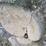 07.11.2022. Sandomierz. Zdjęcie ze szczytu bazyliki katedralnej ozdoby frontonu świątyni. / Fot. ks. Grzegorz Słodkowski - rzecznik diecezji sandomierskiej