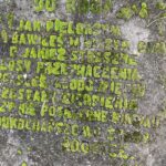 06.11.2022. Lipa. Litery porośnięte mchem na cmentarzu w Lipie / Fot. Magdalena Galas-Klusek - Radio Kielce