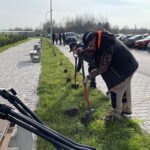 09.11.2022. Końskie. Sadzenie drzew. / Fot. Magda Galas-Klusek - Radio Kielce