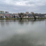 Ptasi bufet nad starachowickim zalewem