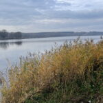 07.11.2022. Starachowice. Prace przy oczyszczeniu Pasternika. / Fot. Anna Głąb - Radio Kielce