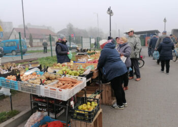 15.11.2022. Pińczów. Owoce i warzywa na targowisku miejskim / Fot. Marta Gajda-Kruk - Radio Kielce