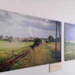 20.11.2022. Umianowice. Ośrodek Edukacji Przyrodniczej. / Fot. Marta Gajda-Kruk - Radio Kielce