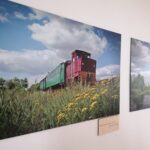 20.11.2022. Umianowice. Ośrodek Edukacji Przyrodniczej. / Fot. Marta Gajda-Kruk - Radio Kielce