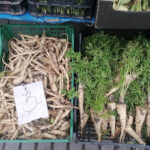 23.11.2022. Busko-Zdrój. Plac targowy przy ulicy Stawowej / Fot. Marta Gajda-Kruk / Radio Kielce