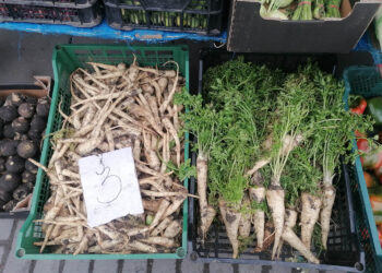 23.11.2022. Busko-Zdrój. Plac targowy przy ulicy Stawowej / Fot. Marta Gajda-Kruk / Radio Kielce