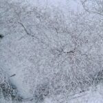 24.11.2022. Kielce. Atak zimy / Fot. Jarosław Kubalski - Radio Kielce