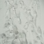 24.11.2022. Kielce. Atak zimy / Fot. Jarosław Kubalski - Radio Kielce