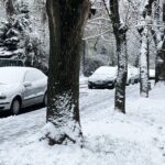 24.11.2022. Kielce. Atak zimy / Fot. Jarosław Kubalski - Radio Kielce