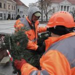 Kielce. Montaż choinki na Rynku / Fot. Jarosław Kubalski - Radio Kielce