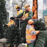 Kielce. Montaż choinki na Rynku / Fot. Jarosław Kubalski - Radio Kielce