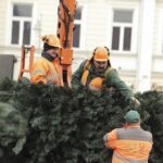 Kielce. Montaż choinki na Rynku / Fot. Jarosław Kubalski - Radio Kielce