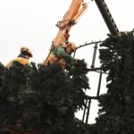 Kielce. Montaż choinki na Rynku / Fot. Jarosław Kubalski - Radio Kielce