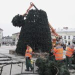 Kielce. Montaż choinki na Rynku / Fot. Jarosław Kubalski - Radio Kielce