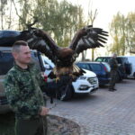 12.11.2022. Pińczów. 48. Międzynarodowe Łowy z Sokołami / Fot. Marta Gajda-Kruk - Radio Kielce