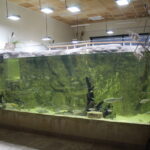 Po Nidarium kolejne atrakcje w Umianowicach