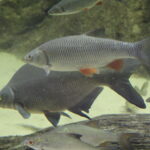 20.11.2022. Umianowice. Ośrodek Edukacji Przyrodniczej. / Fot. Marta Gajda-Kruk - Radio Kielce