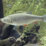 20.11.2022. Umianowice. Ośrodek Edukacji Przyrodniczej. / Fot. Marta Gajda-Kruk - Radio Kielce