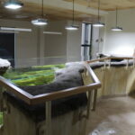 20.11.2022. Umianowice. Ośrodek Edukacji Przyrodniczej. / Fot. Marta Gajda-Kruk - Radio Kielce