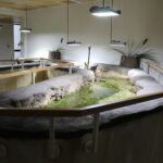 20.11.2022. Umianowice. Ośrodek Edukacji Przyrodniczej. / Fot. Marta Gajda-Kruk - Radio Kielce