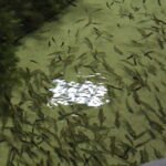 20.11.2022. Umianowice. Ośrodek Edukacji Przyrodniczej. / Fot. Marta Gajda-Kruk - Radio Kielce