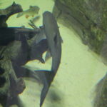 20.11.2022. Umianowice. Ośrodek Edukacji Przyrodniczej. / Fot. Marta Gajda-Kruk - Radio Kielce