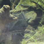 20.11.2022. Umianowice. Ośrodek Edukacji Przyrodniczej. / Fot. Marta Gajda-Kruk - Radio Kielce