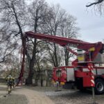 07.11.2022. Sandomierz. Zdjęcie ze szczytu bazyliki katedralnej ozdoby frontonu świątyni. / Fot. Grażyna Szlęzak - Radio Kielce