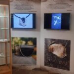 27.11.2022. Zamość. Wystawa „Krzemień pasiasty - sandomierski kamień optymizmu” / Fot. Katarzyna Batko