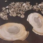 27.11.2022. Zamość. Wystawa „Krzemień pasiasty - sandomierski kamień optymizmu” / Fot. Katarzyna Batko