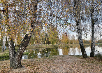 Do Polski napłynie wilgotne powietrze i sporo chmur