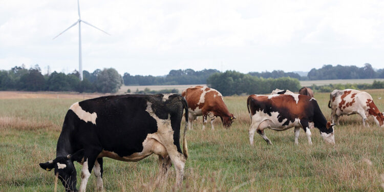 „Zarządzanie ryzykiem” – 1 grudnia rusza kolejny nabór wniosków - Radio Kielce