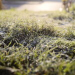 19.11.2022. Kielce. Pierwszy śnieg / Fot. Wiktor Taszłow - Radio Kielce