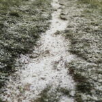 19.11.2022. Kielce. Pierwszy śnieg / Fot. Wiktor Taszłow - Radio Kielce