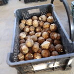 Eko Bazar ma nową lokalizację - Radio Kielce 19.11.2022. Kielce. Eko bazar / Fot. Wiktor Taszłow - Radio Kielce