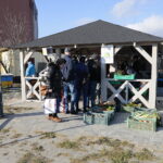 Eko Bazar ma nową lokalizację - Radio Kielce 19.11.2022. Kielce. Eko bazar / Fot. Wiktor Taszłow - Radio Kielce