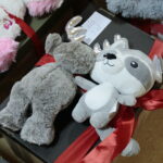 25.11.2022. Kielce. Dzieci na oddziale onkologiczno - hematologicznym otrzymały zabawki / Fot. Wiktor Taszłow - Radio Kielce