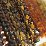 26.11.2022. Kielce. Giełda Minerałów, Skamieniałości i Wyrobów Jubilerskich / Fot. Wiktor Taszłow – Radio Kielce