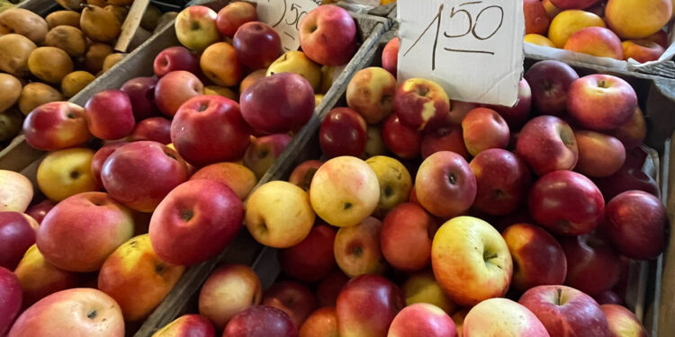 24.11.2022. Ostrowiec Świętokrzyski. Osiedle Słoneczne. Pasaż handlowy / Fot. Emilia Sitarska - Radio Kielce