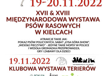 XVII&XVIII Międzynarodowa Wystawa Psów Rasowych w Kielcach - Radio Kielce