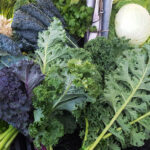 Napój z jarmużem i jabłkiem na zdrowe śniadanie