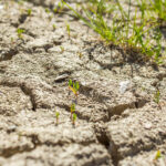 Będą kolejne rekordy ciepła. To oznacza susze, powodzie oraz inne kłopoty