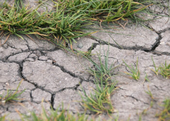 Pomoc klęskowa dla rodzin – termin składania wniosków przedłużony do 23 listopada - Radio Kielce