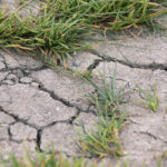 IMGW wydał kolejne ostrzeżenia przed suszą