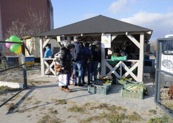 Udany Eko Bazar w Kielcach. Co kupowano najchętniej? - Radio Kielce