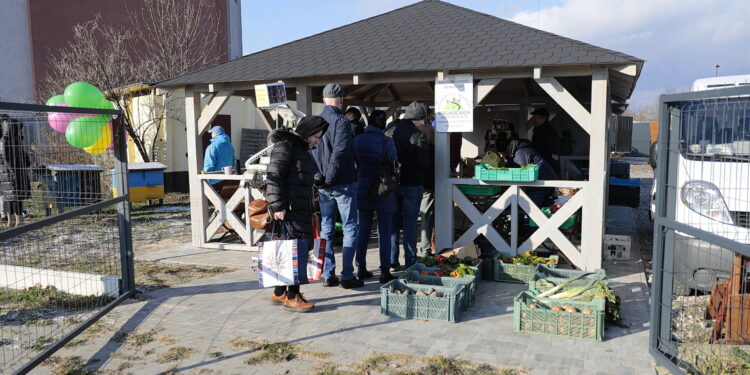 Udany Eko Bazar w Kielcach. Co kupowano najchętniej? - Radio Kielce